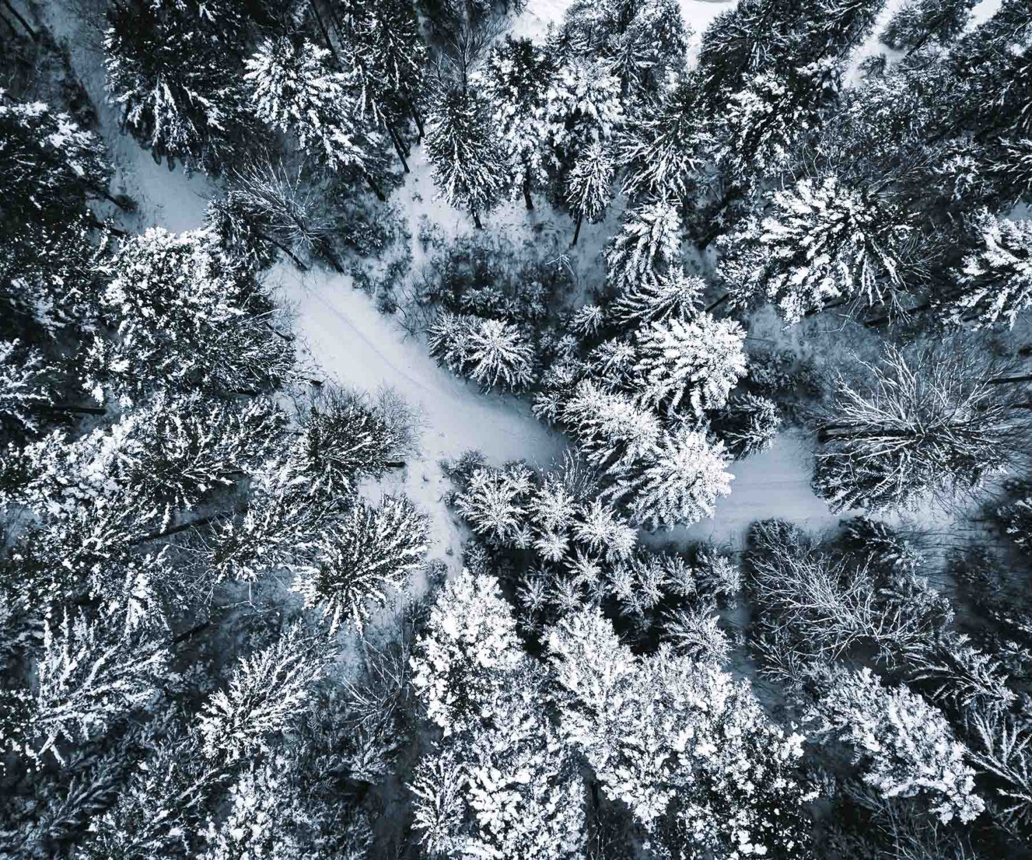 Nokian Tyres Pneus hiver